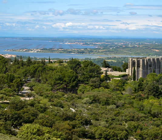 Massif de la Gardiole : la soupe aux herbes sauvages