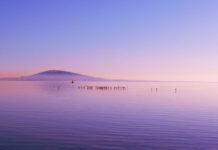 Le village lacustre englouti des premiers Sétois