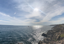Sète, l’autre cimetière marin disparu