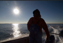 196 : numéro d’urgence, infos pratiques plaisanciers