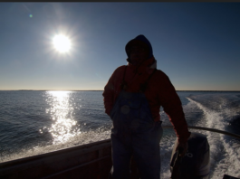 196 : numéro d’urgence, infos pratiques plaisanciers