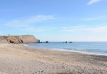 La température de la mer en Occitanie en temps réel