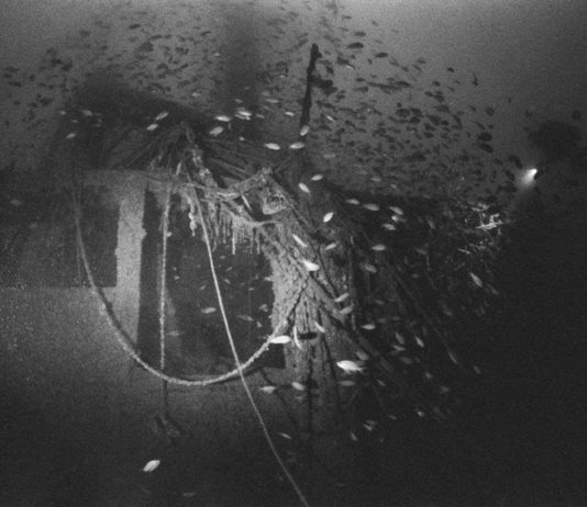 Histoire de mer : le Shiaffino un bateau maudit