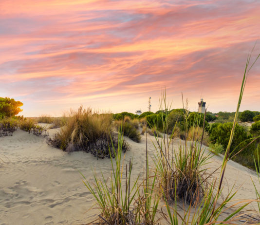 Camargue, phare de l’Espiguette, plus ancien qu’Ar Men